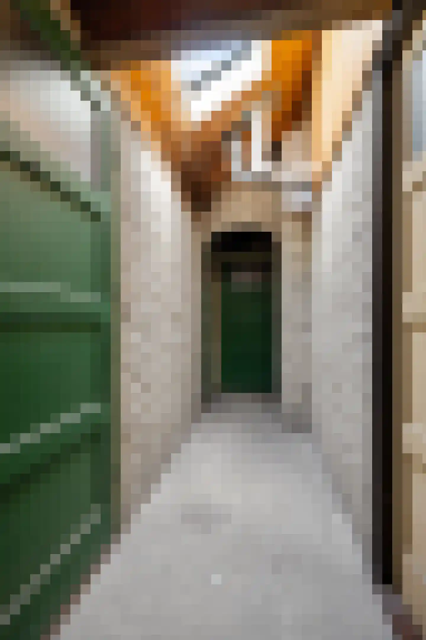 Van Heemskerckstraat 53 b Groningen thumbnail 33
