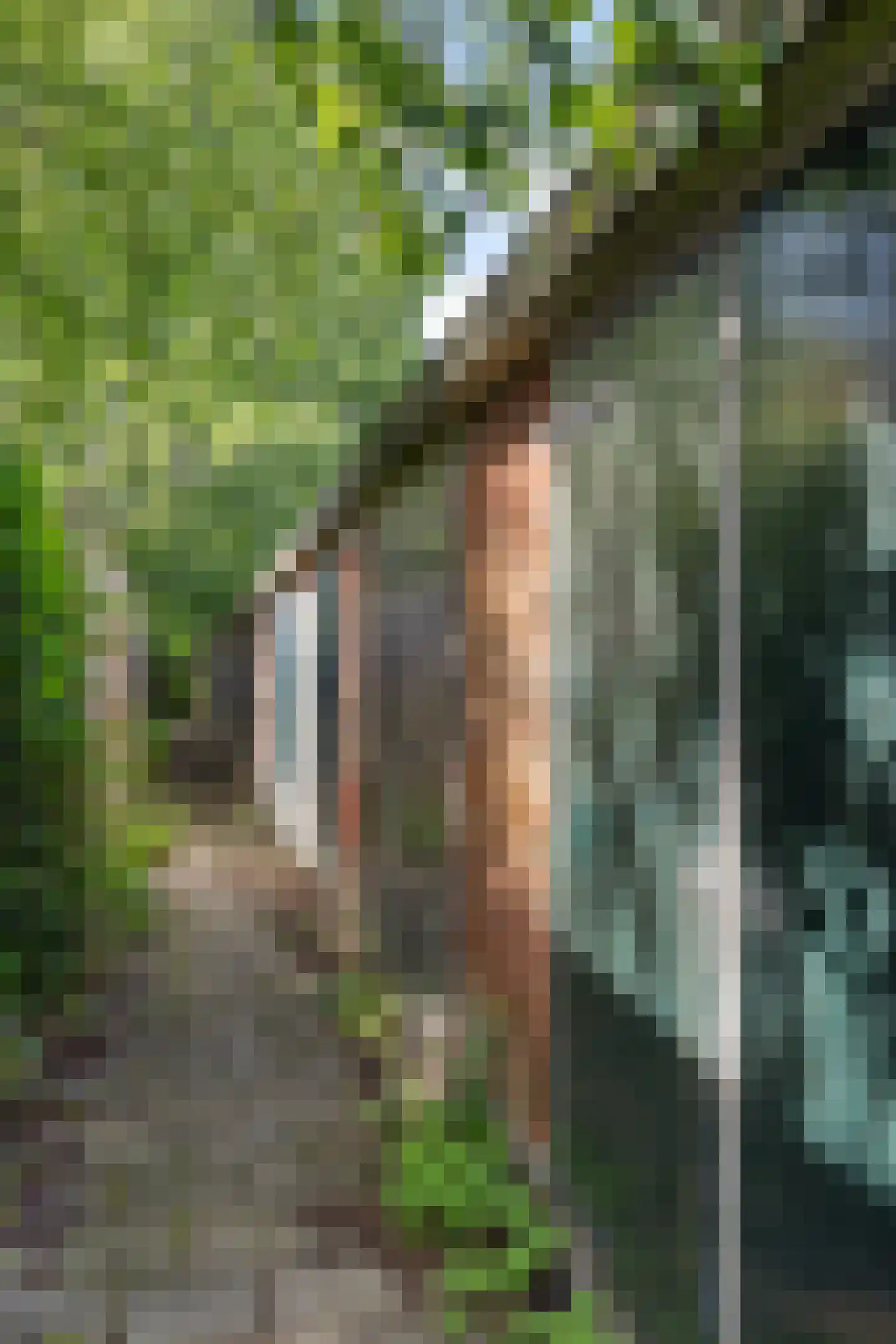 Van Heemskerckstraat 53 b Groningen thumbnail 38
