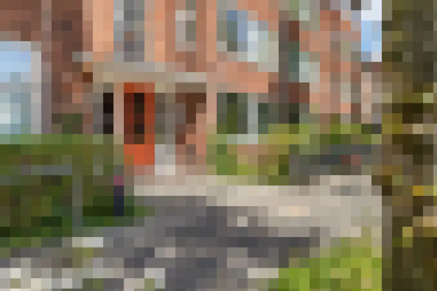 Van Heemskerckstraat 53 b Groningen thumbnail 4