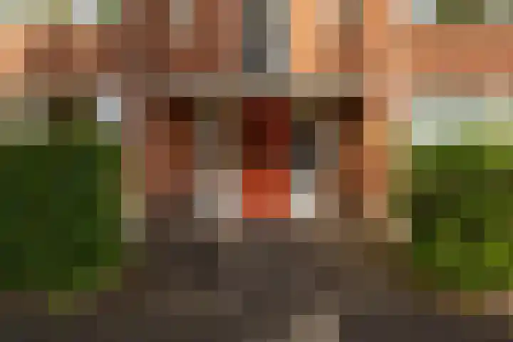 Van Heemskerckstraat 57 b Groningen thumbnail 10