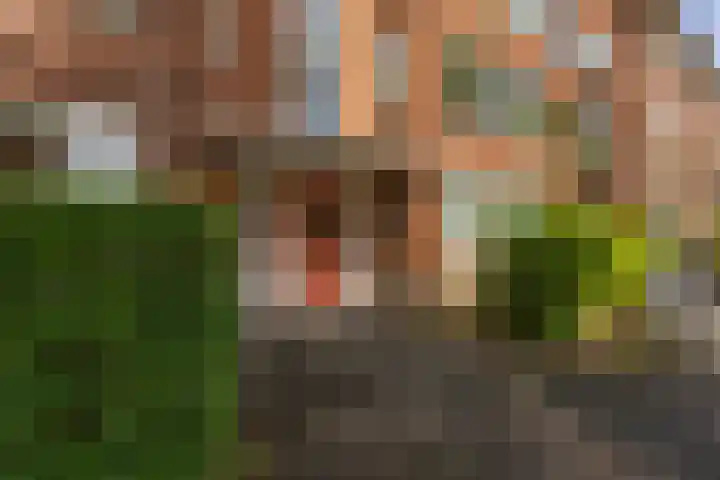 Van Heemskerckstraat 57 b Groningen thumbnail 9