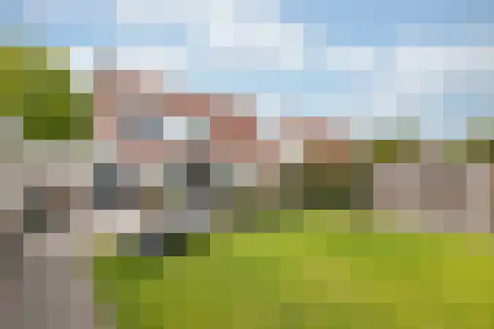 van Heemskerckstraat 60 Duiven thumbnail 32