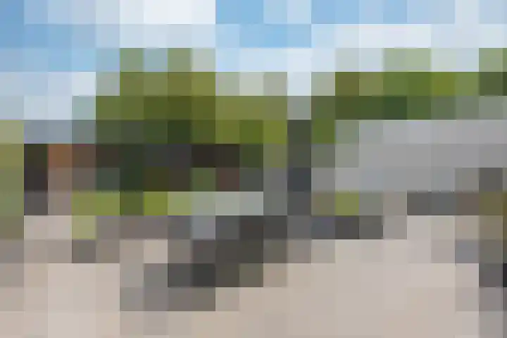van Heemskerckstraat 60 Duiven thumbnail 39