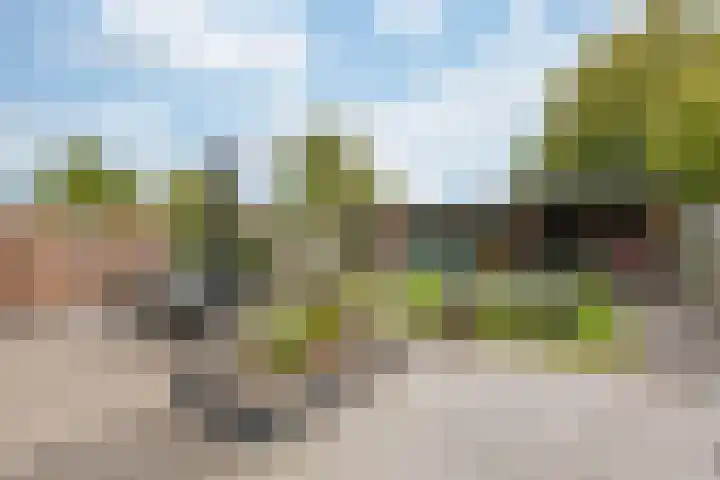 van Heemskerckstraat 60 Duiven thumbnail 4