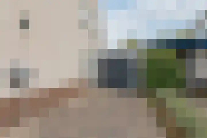 van Heemskerckstraat 60 Duiven thumbnail 67