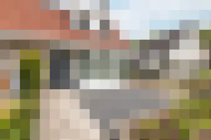 van Heemskerckstraat 60 Duiven thumbnail 7