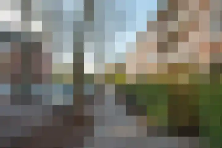 Van Heemskerckstraat 63 a Groningen thumbnail 42