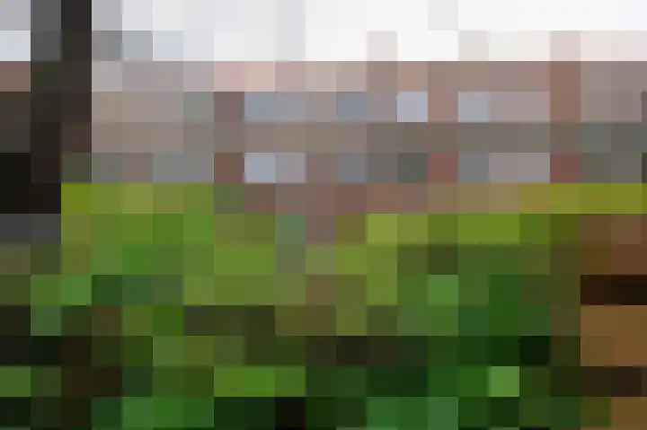 Van Heemskerckstraat 65 a Groningen thumbnail 53