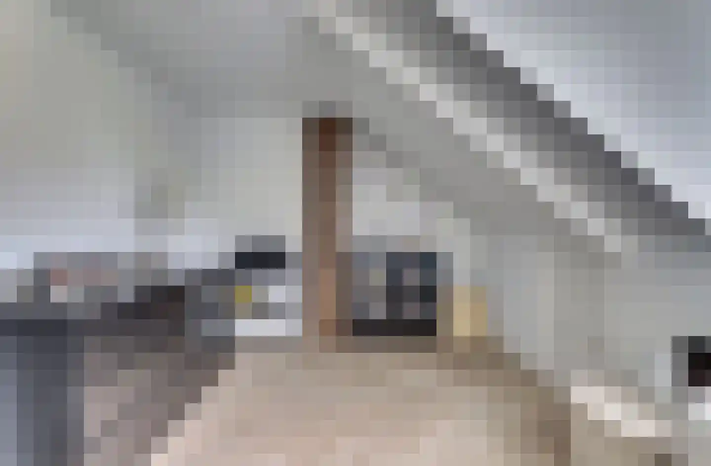van Heemskerckstraat 74 Hoogezand thumbnail 30