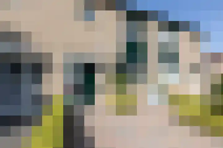 van Heemskerckstraat 79 Duiven thumbnail 8