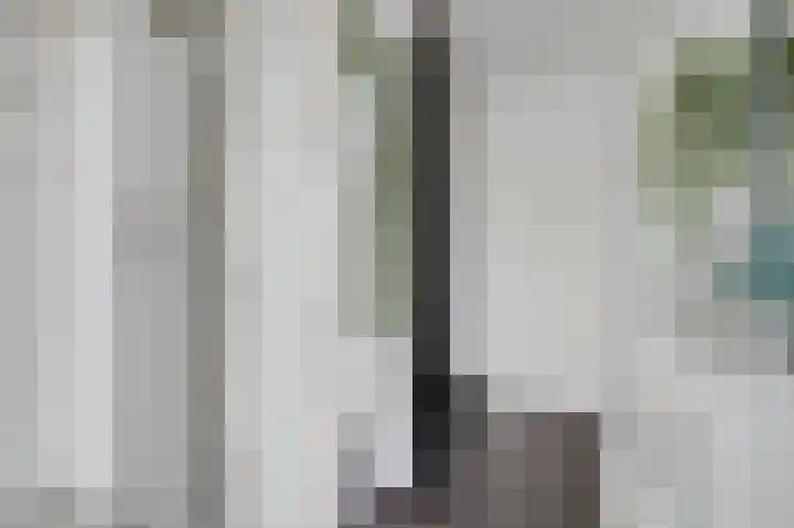 van Heemskerckstraat 79 Duiven thumbnail 9