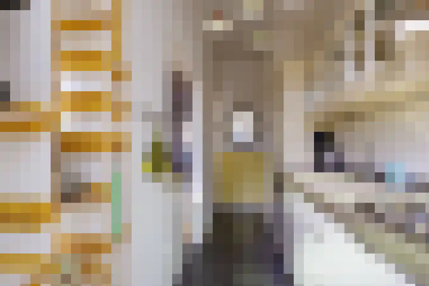 Van Heemskerckstraat 8 Groningen thumbnail 27