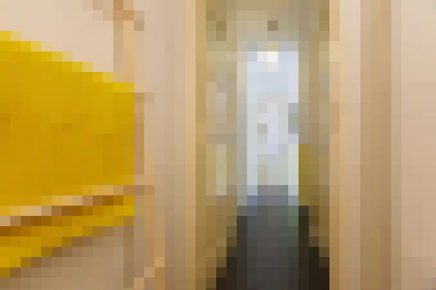 Van Heemskerckstraat 8 Groningen thumbnail 32