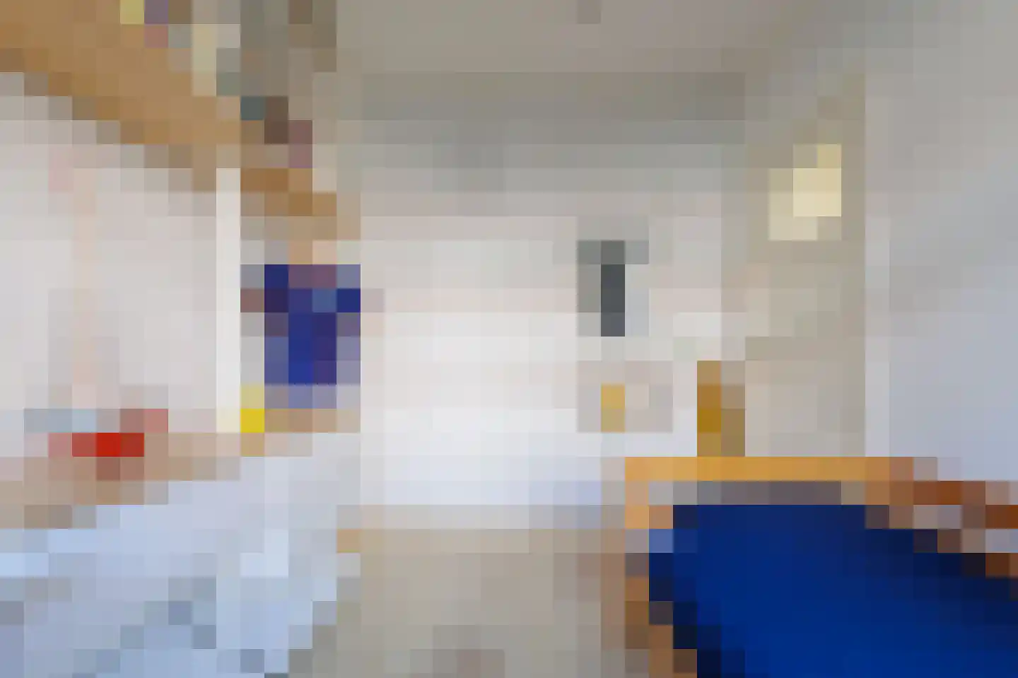 Van Heemskerckstraat 8 Groningen thumbnail 39