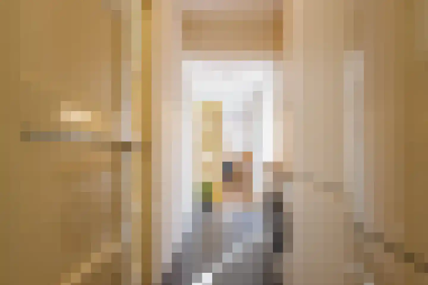 Van Heemskerckstraat 8 Groningen thumbnail 40