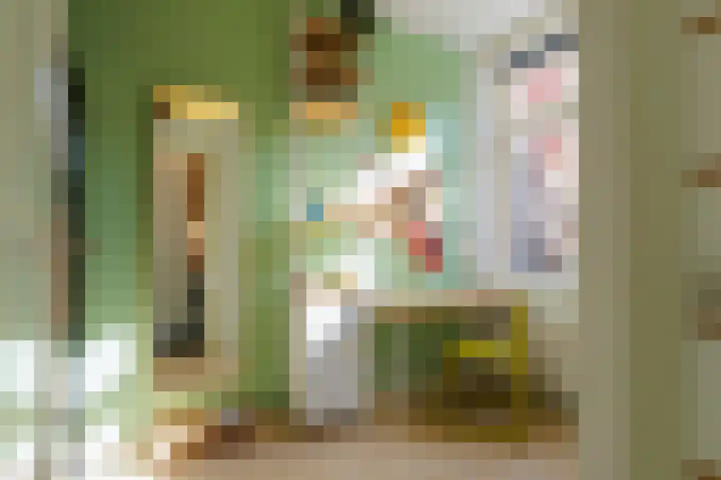 Van Heemskerckstraat 8 Groningen thumbnail 41