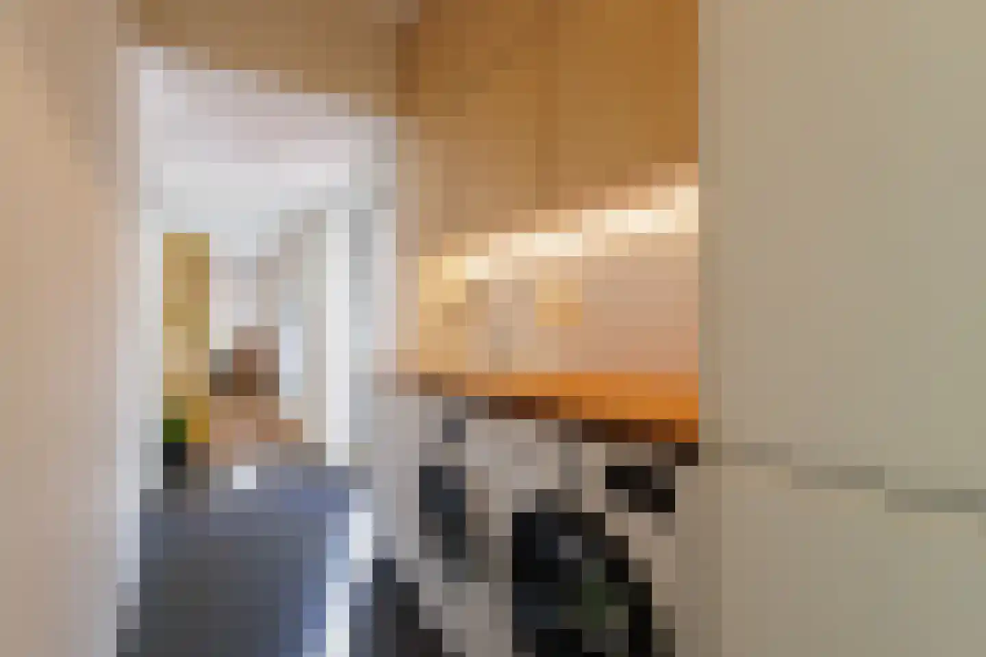 Van Heemskerckstraat 8 Groningen thumbnail 47
