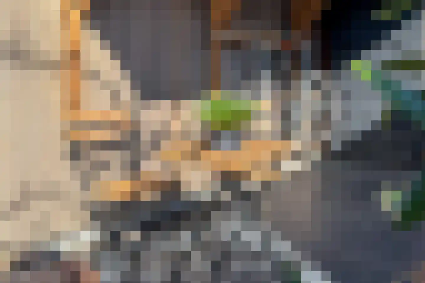 Van Heemskerckstraat 8 Groningen thumbnail 64