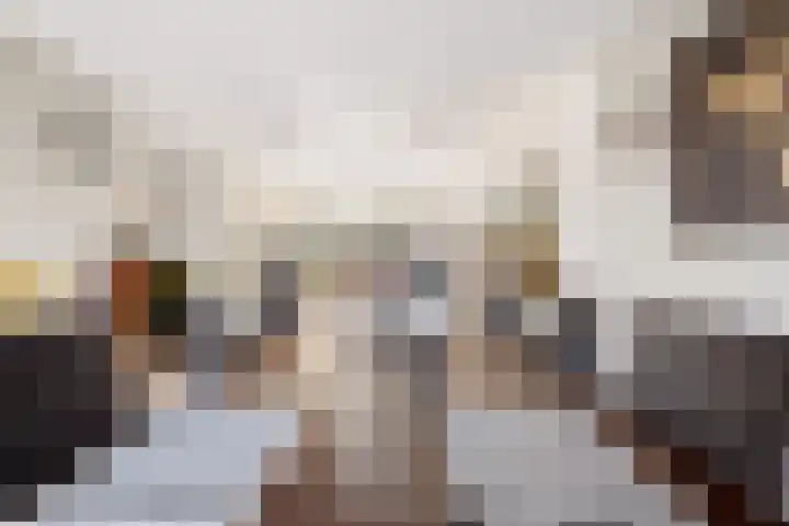 Van Heemskerklaan 15 De Meern thumbnail 17