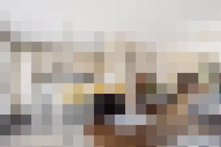 Van Heemskerklaan 15 De Meern thumbnail 18