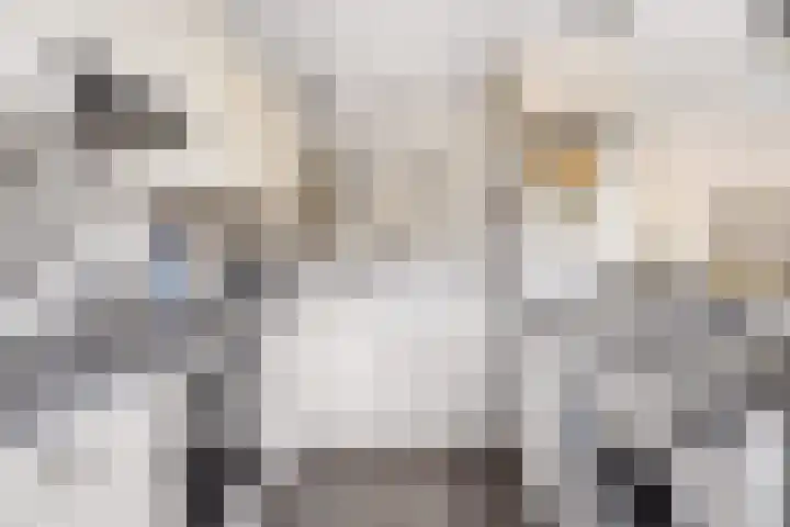Van Heemskerklaan 15 De Meern thumbnail 20