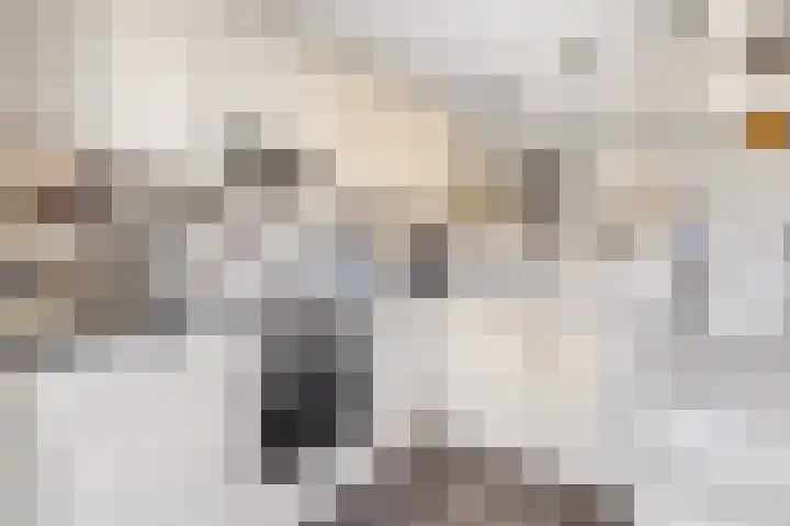 Van Heemskerklaan 15 De Meern thumbnail 22