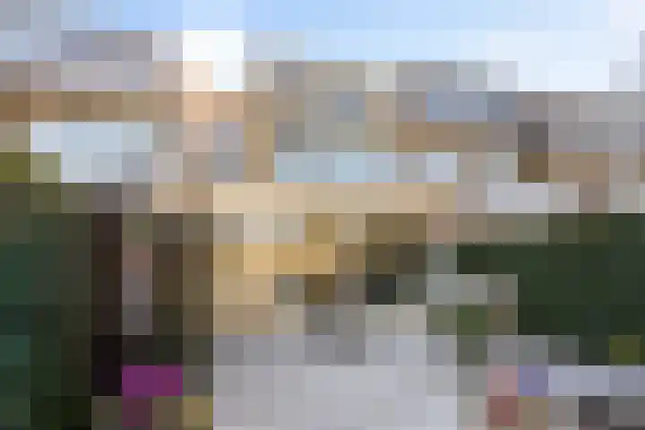 Van Heemskerklaan 15 De Meern thumbnail 30