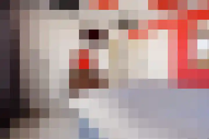 Van Heemskerklaan 15 De Meern thumbnail 44