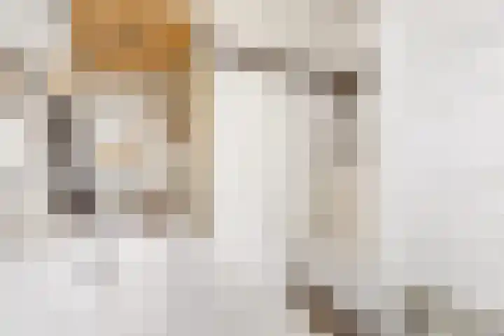 Van Heemskerklaan 15 De Meern thumbnail 47