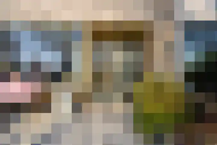 Van Heemskerklaan 15 De Meern thumbnail 55