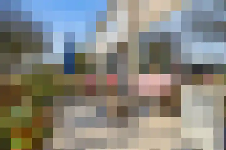 Van Heemskerklaan 15 De Meern thumbnail 56