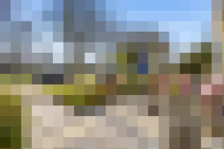 Van Heemskerklaan 15 De Meern thumbnail 57
