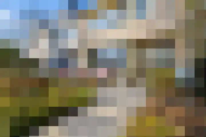 Van Heemskerklaan 15 De Meern thumbnail 60