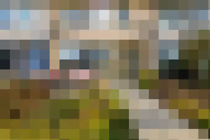 Van Heemskerklaan 15 De Meern thumbnail 61