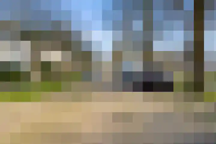 Van Heemskerklaan 15 De Meern thumbnail 62