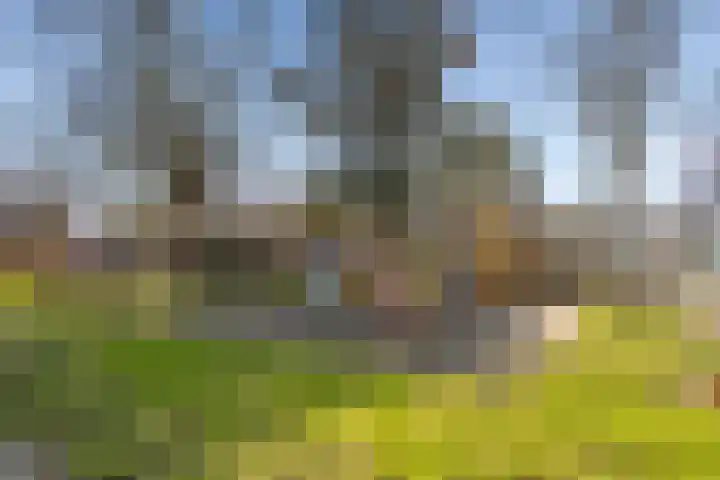 Van Heemskerklaan 15 De Meern thumbnail 63