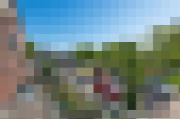 van Heemskerkplein 14 Lisse thumbnail 31