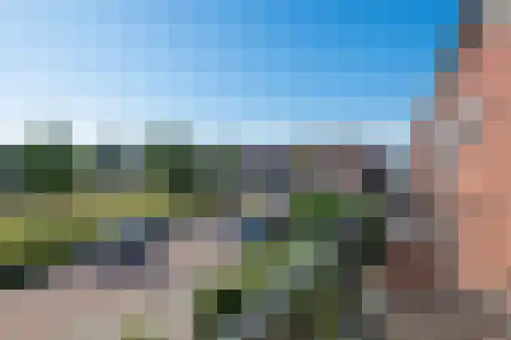 van Heemskerkplein 14 Lisse thumbnail 32