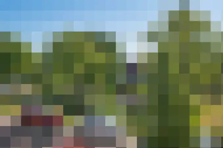 van Heemskerkplein 14 Lisse thumbnail 34