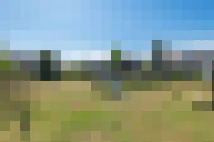 van Heemskerkplein 14 Lisse thumbnail 45