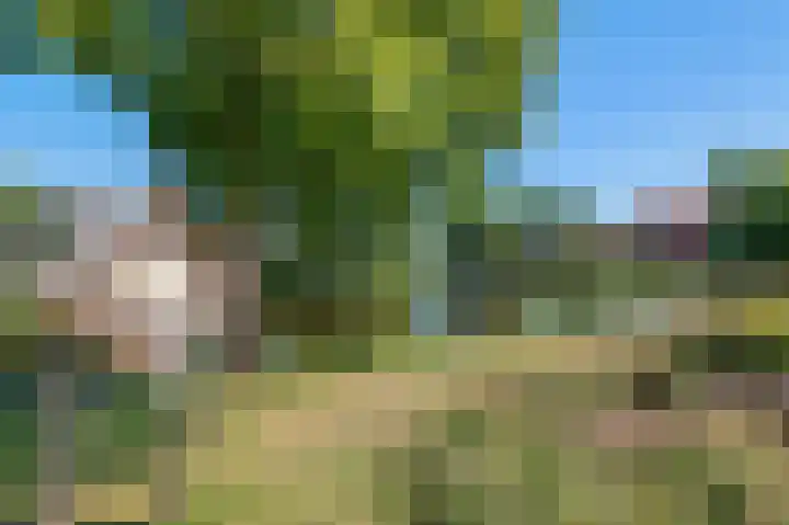 van Heemskerkplein 14 Lisse thumbnail 46