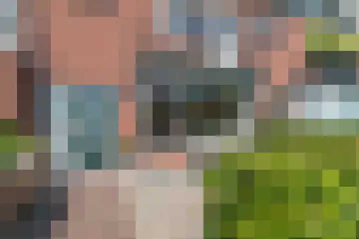 van Heemskerkplein 14 Lisse thumbnail 5