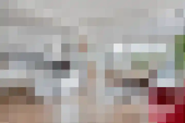 van Heemskerkstraat 10 Borne thumbnail 11