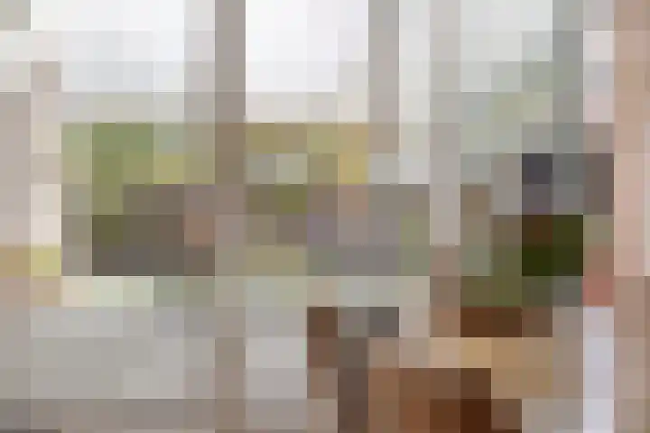 van Heemskerkstraat 10 Borne thumbnail 12