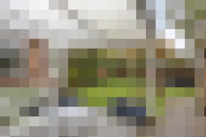van Heemskerkstraat 10 Borne thumbnail 16