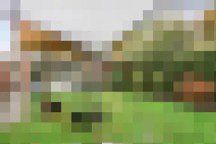 van Heemskerkstraat 10 Borne thumbnail 30