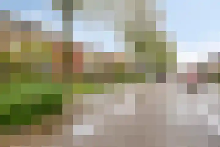 van Heemskerkstraat 10 Borne thumbnail 32