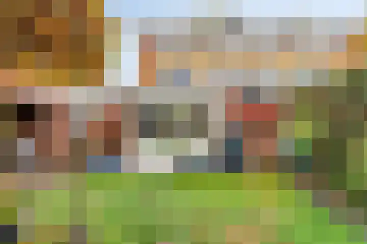 van Heemskerkstraat 10 Borne thumbnail 5