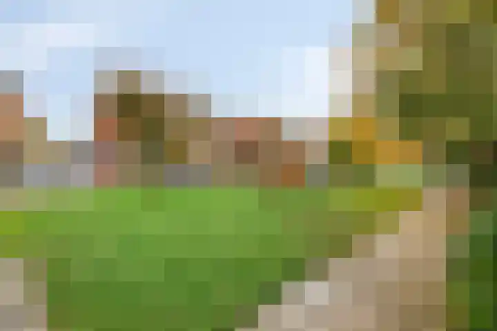van Heemskerkstraat 10 Borne thumbnail 6