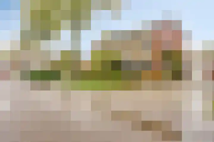 van Heemskerkstraat 10 Borne thumbnail 7